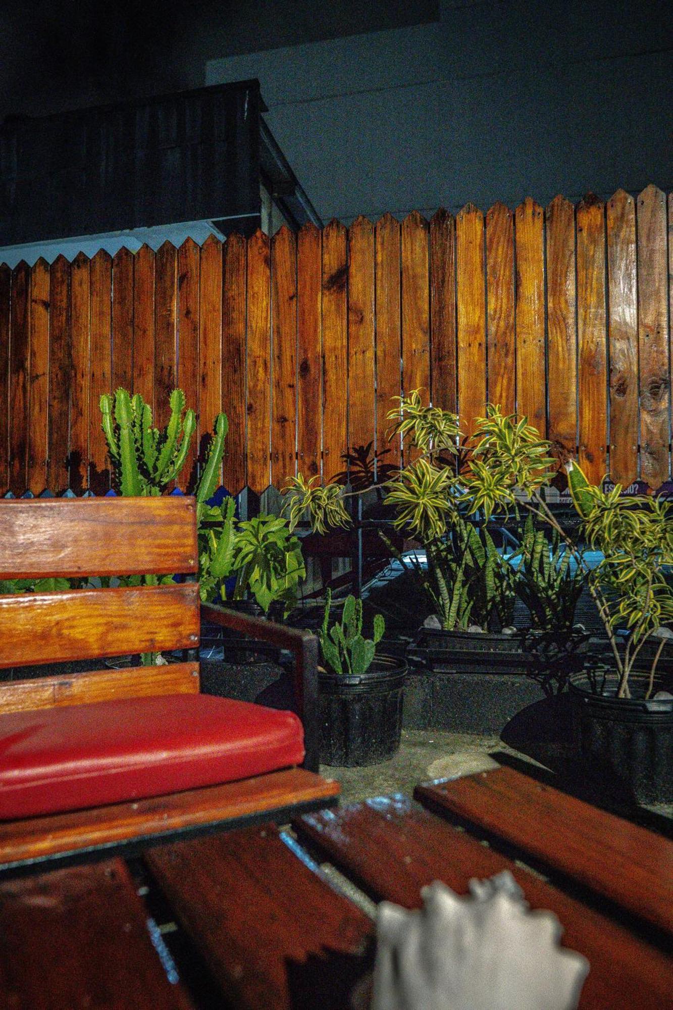 Eden'S Garden Hostel Панама Екстер'єр фото